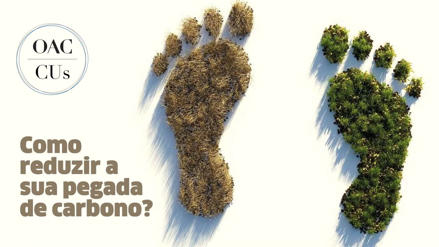 Como reduzir a sua pegada de carbono?