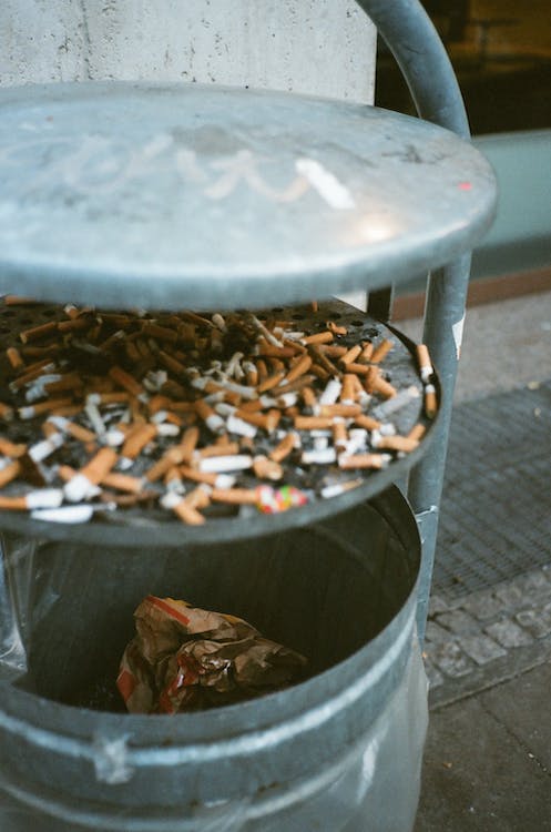 Consequências do tabaco na saúde e no ambiente