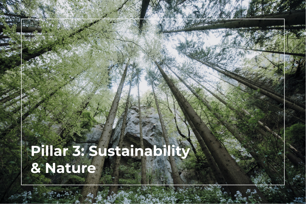 Sustainability & Nature