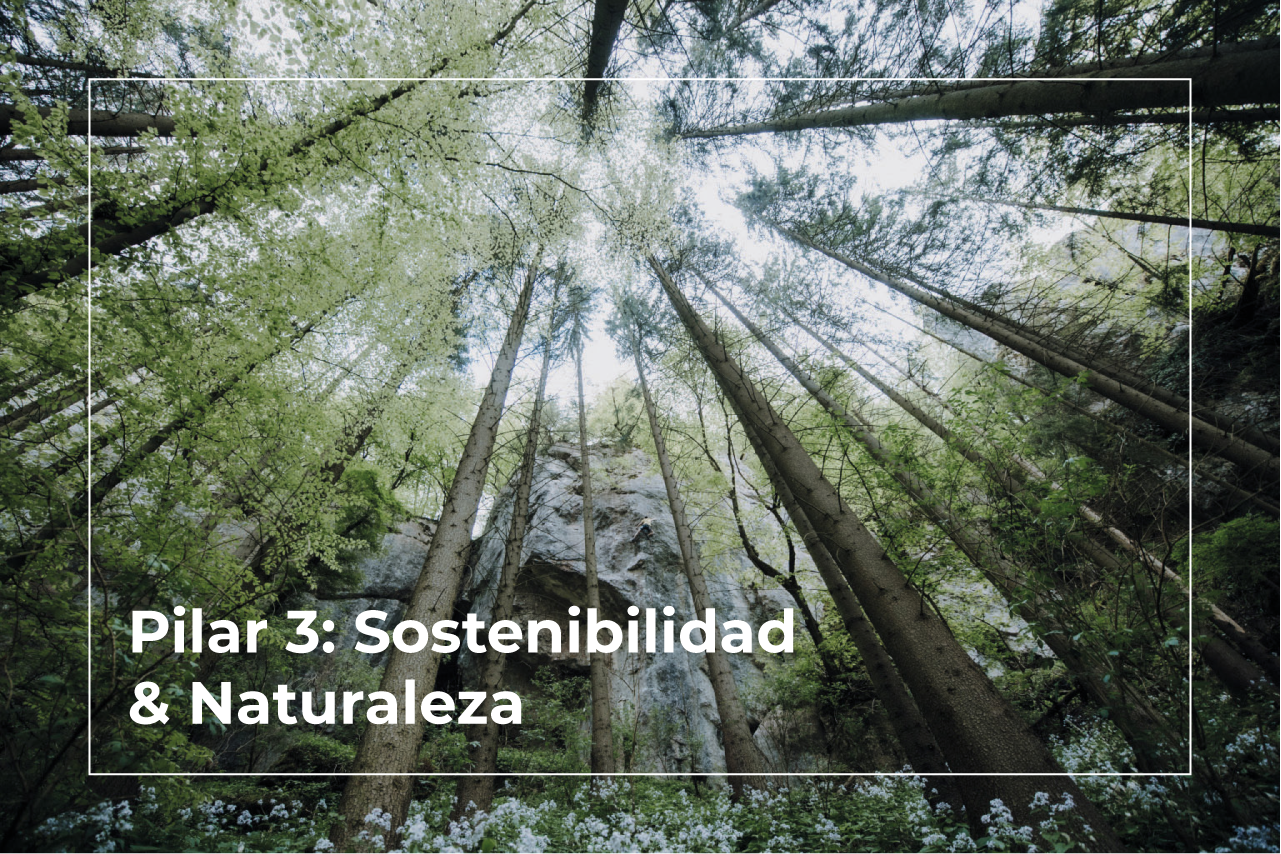 3. Sustainability & Nature