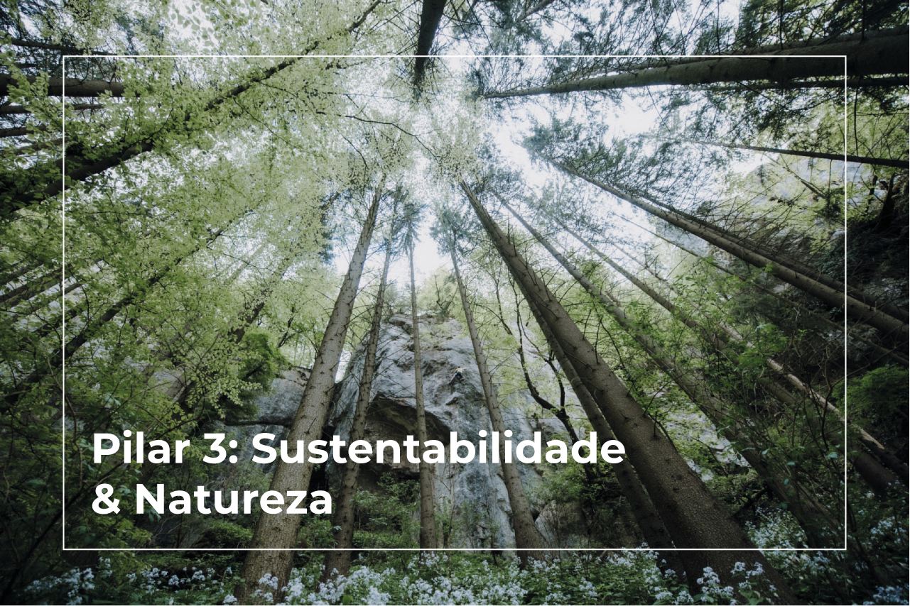 3. Sustainability & Nature